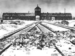 auschwitz - train tracks